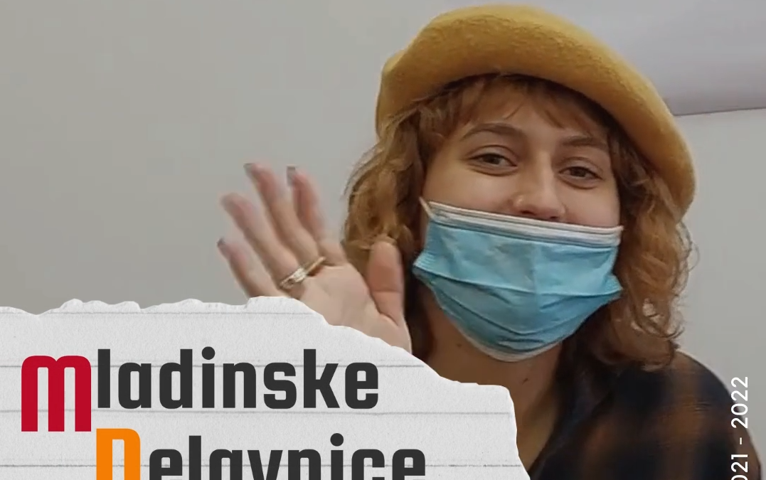 Projekt ‘Mladinske delavnice’: Generacije prostovoljcev 2014 – 2021